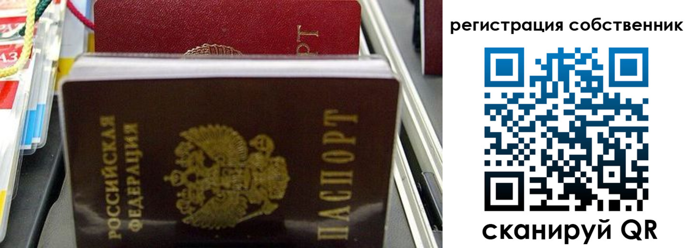 временная регистрация поиск в Новосибирской области